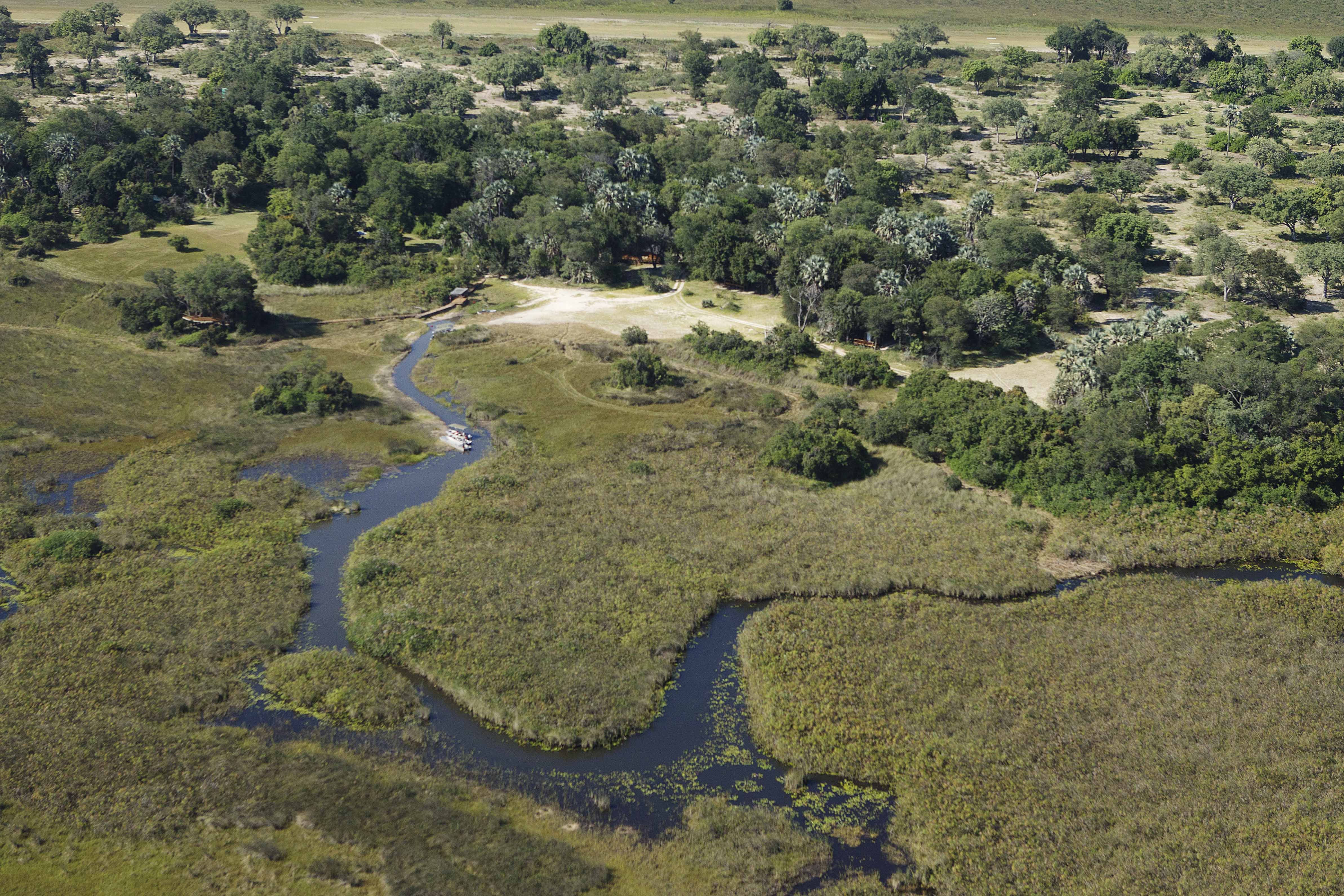 Botswana Camp Okavango Moremi Game Reserve 2