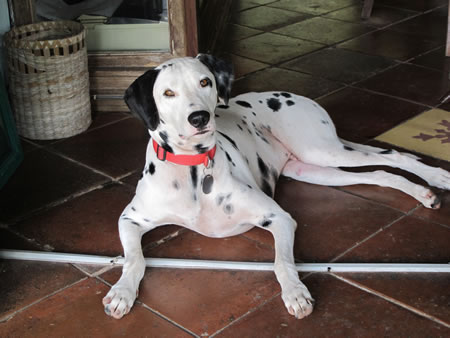 Puri Ganesha Pemuteran Bali Indonesia 3 