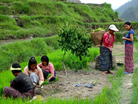 Samdrup Jongkhar Lodge Samdrup Jongkhar Bhutan 1 