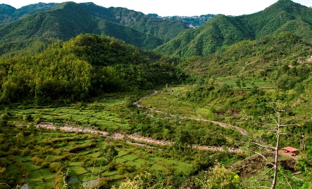 Shaheen Bagh Dehradun North India 2