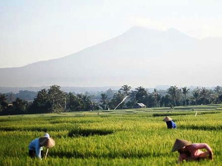 Tabanan Bali Indonesia