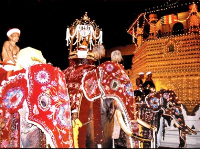 The Most Spectacular Festival In Sri Lanka Esala Perahera Itinerary