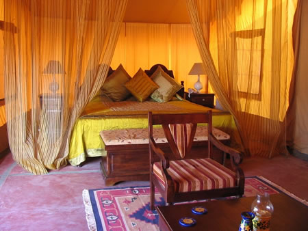 The Orchard Pushkar Pushkar North India 1 