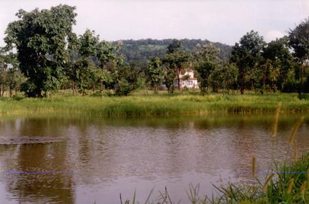 Tiger Trails Tadoba Maharashtra Central India
