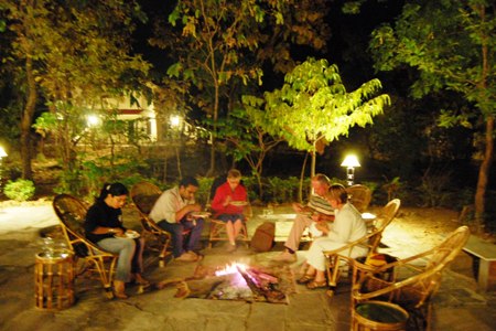 Tiger Trails Tadoba Maharashtra Central India 1