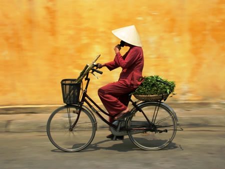 Whistle Stop Vietnam Itinerary