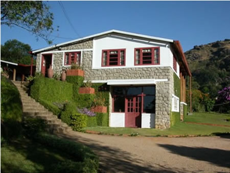 Windermere Estate Munnar South India