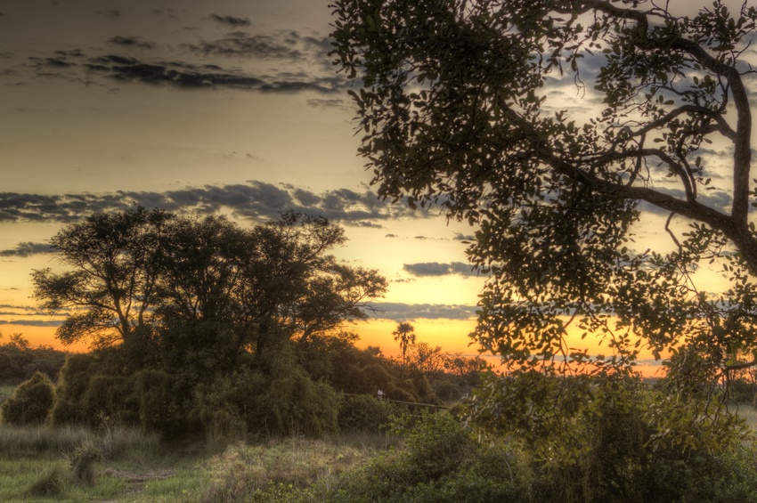Camp Okavango The Okavango Delta Botswana 102