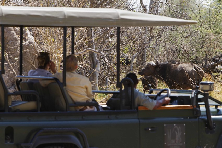 Camp Xakanaxa Moremi Botswana 52