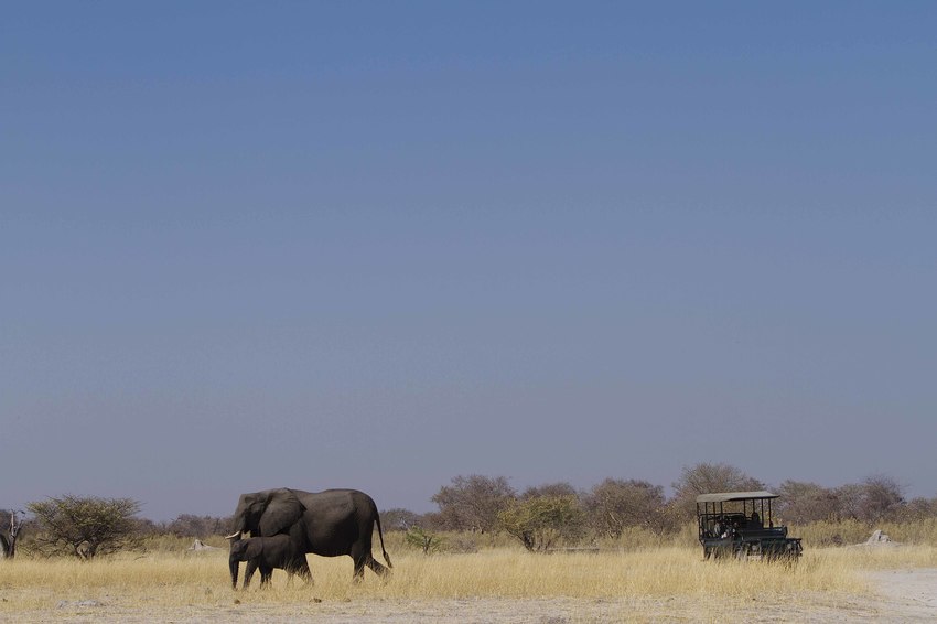 Camp Xakanaxa Moremi Botswana 54