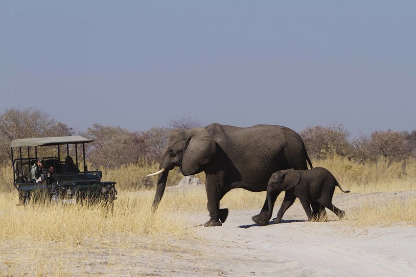 Camp Xakanaxa Moremi Botswana 55