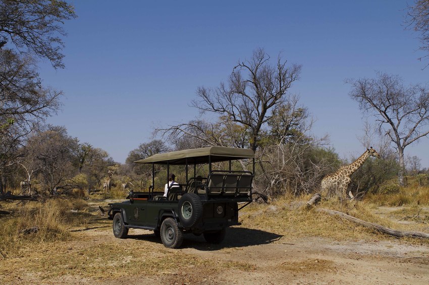 Camp Xakanaxa Moremi Botswana 57