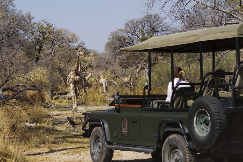 Camp Xakanaxa Moremi Botswana 58