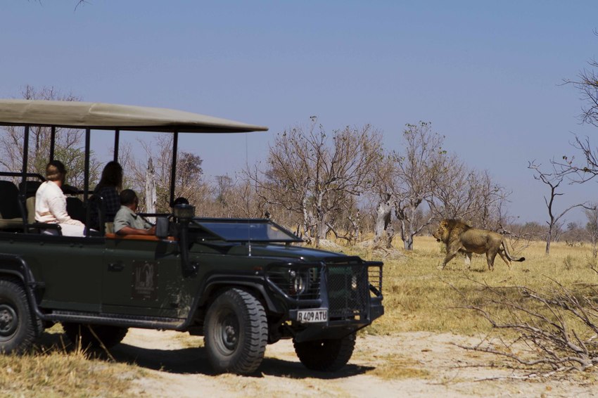 Camp Xakanaxa Moremi Botswana 60