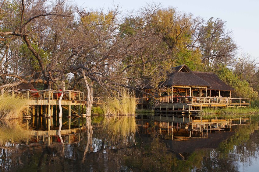 Camp Xakanaxa Moremi Botswana 86