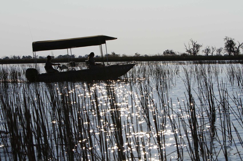 Camp Xakanaxa Moremi Botswana 14