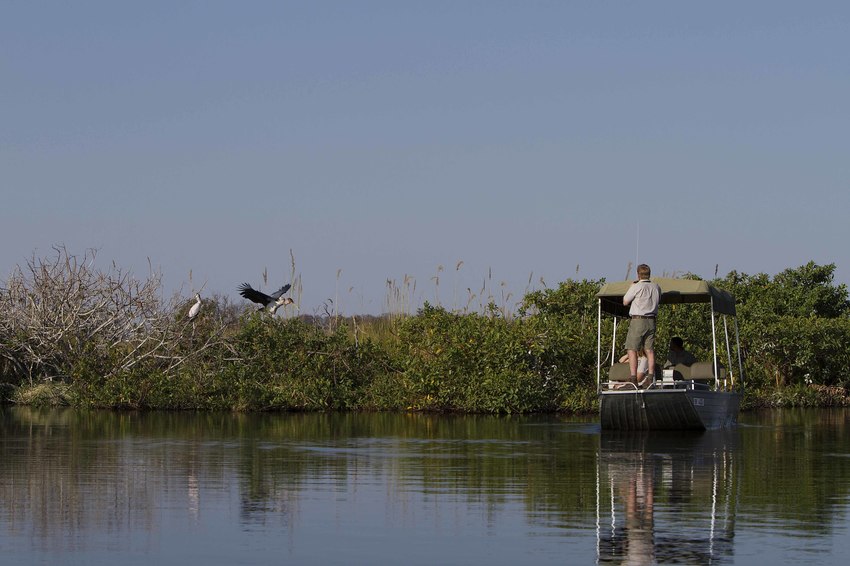 Camp Xakanaxa Moremi Botswana 15