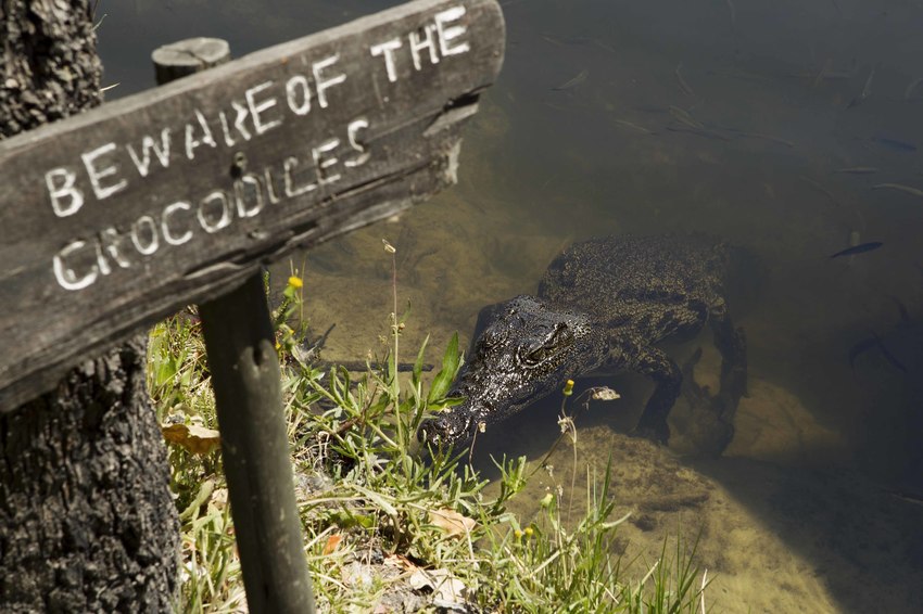 Camp Xakanaxa Moremi Botswana 21