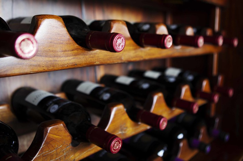 Camp Xakanaxa Moremi Botswana 29