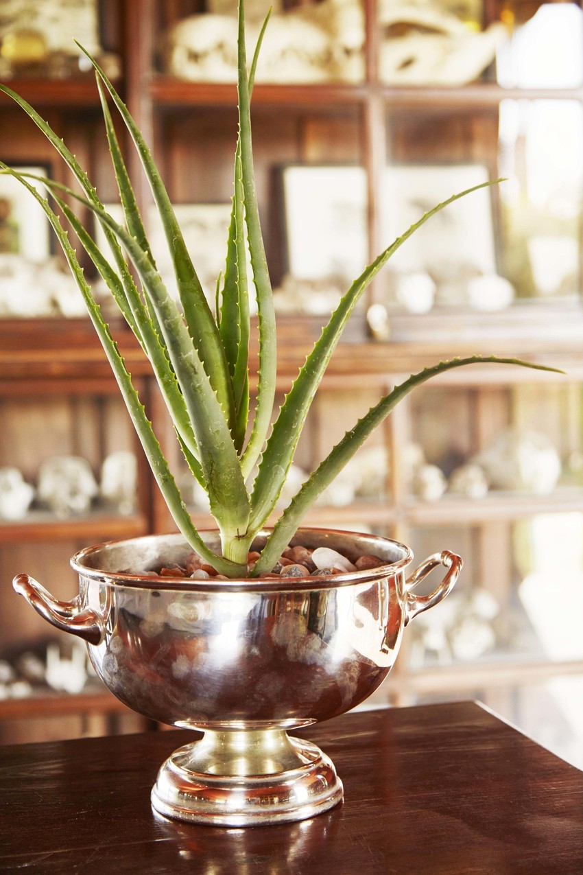 Jacks Camp Makgadikgadi Botswana 3