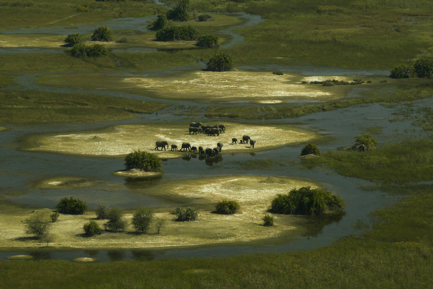Duba Plains Camp Okavango Delta Botswana 30