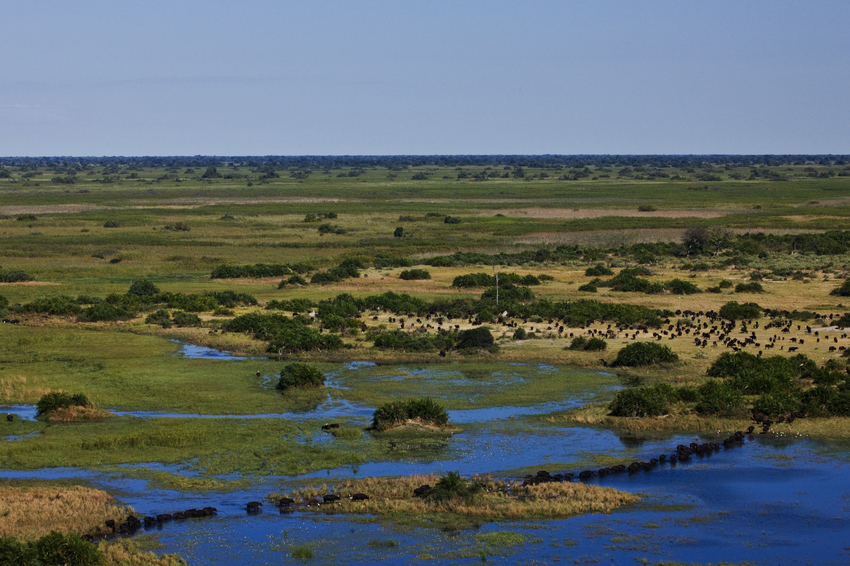 Duba Plains Camp Okavango Delta Botswana 34