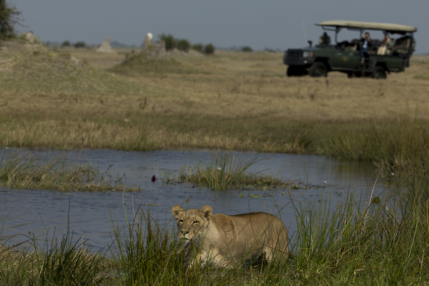 Duba Plains Camp Okavango Delta Botswana 51