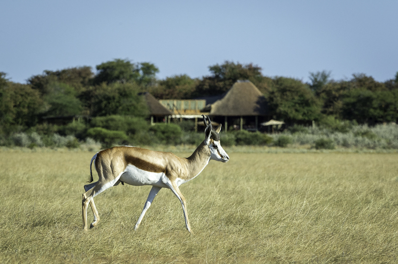 Kalahari Plains Camp Central Kalahari Botswana 6