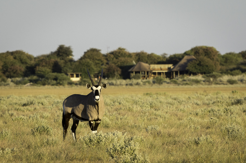 Kalahari Plains Camp Central Kalahari Botswana 7