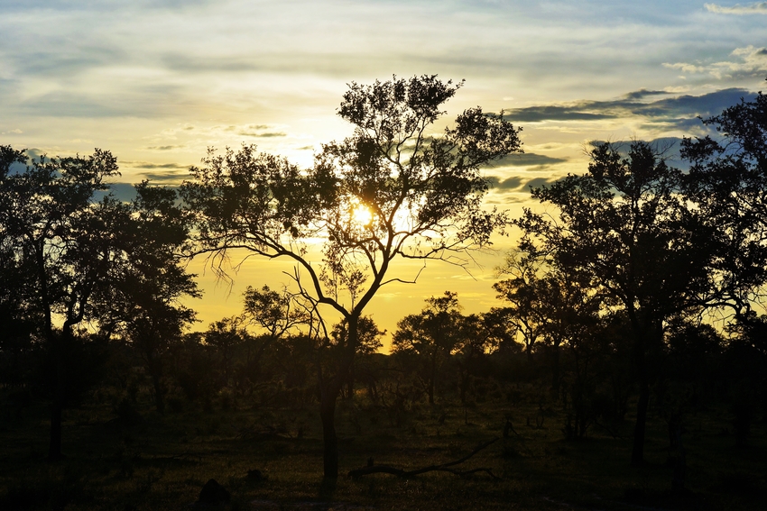 Kwando Lebala Camp Linyanti And Selinda Botswana 20Jpg