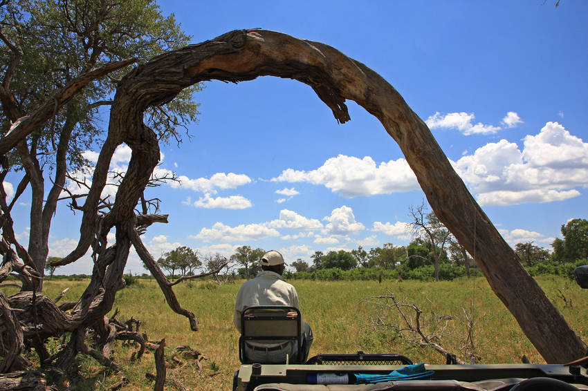 Kwando Lebala Camp Linyanti And Selinda Botswana 4