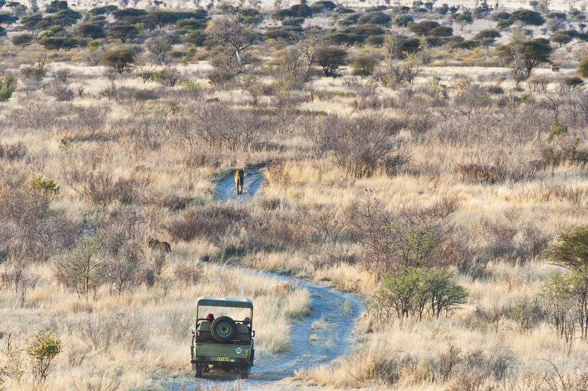 Kwando Tau Lodge Central Kalahari Botswana 11