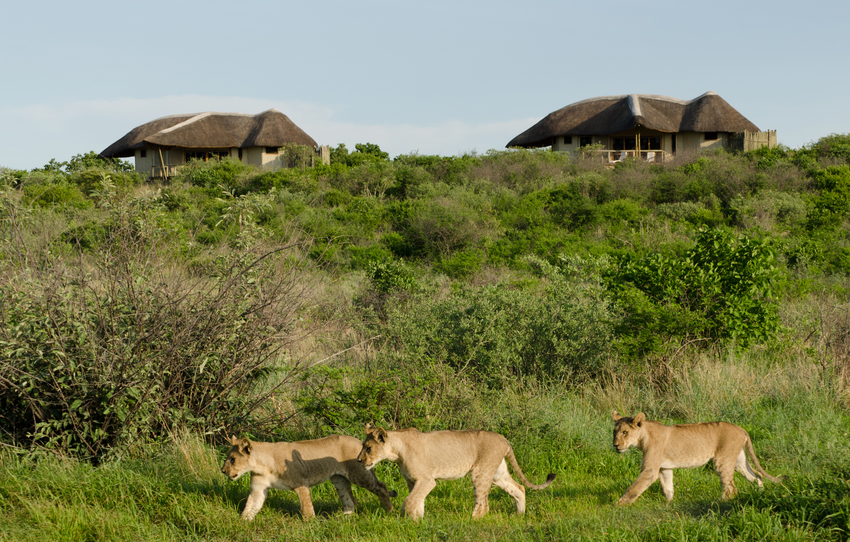 Kwando Tau Lodge Central Kalahari Botswana 12