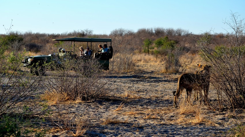 Kwando Tau Lodge Central Kalahari Botswana 19