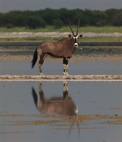 Kwando Tau Lodge Central Kalahari Botswana 4Jpg
