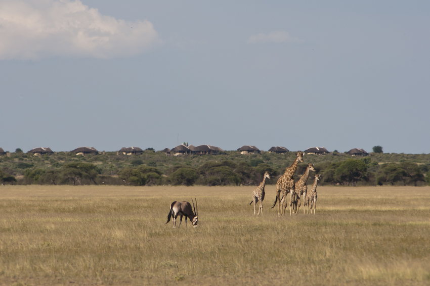 Kwando Tau Lodge Central Kalahari Botswana 6