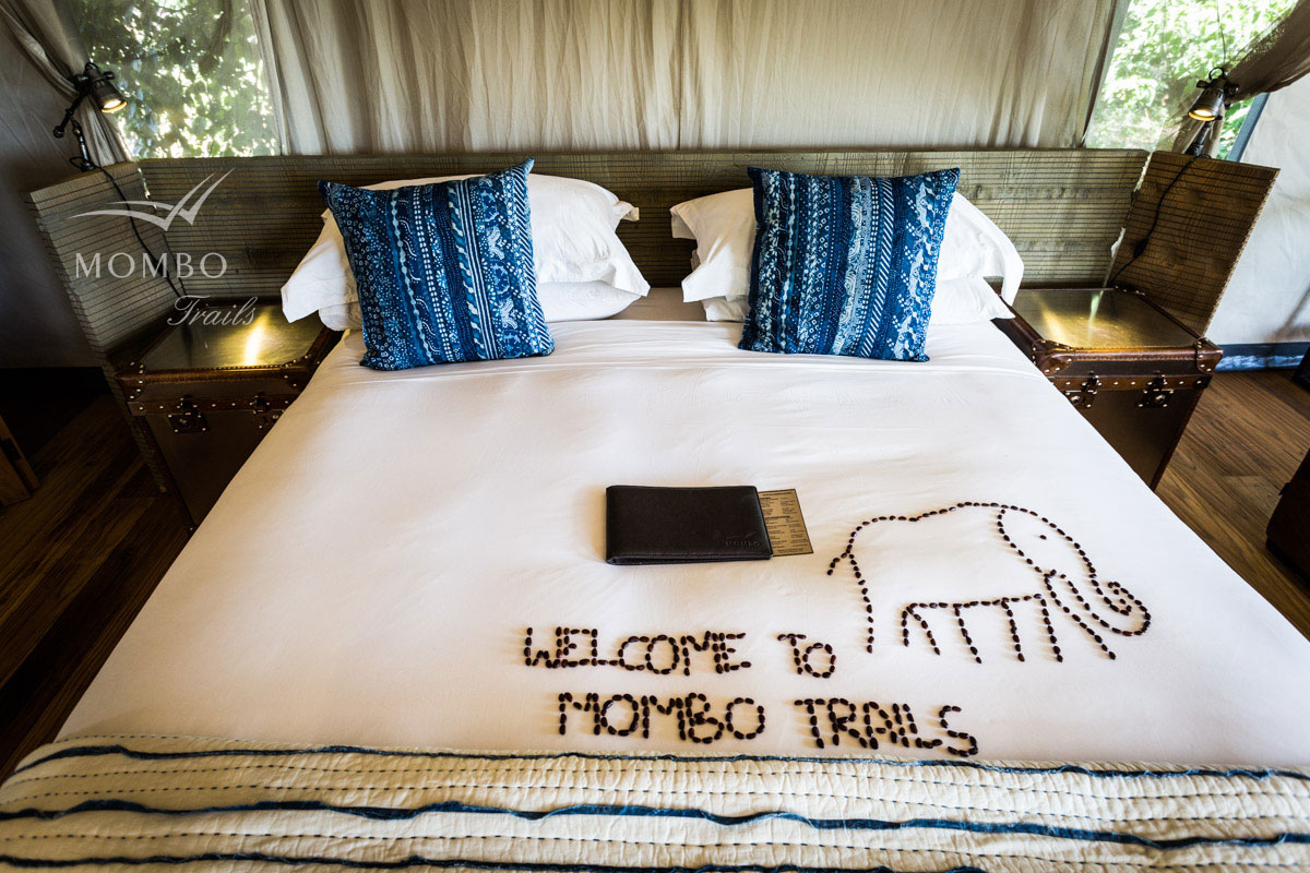 Mombo Camp Moremi Botswana 19
