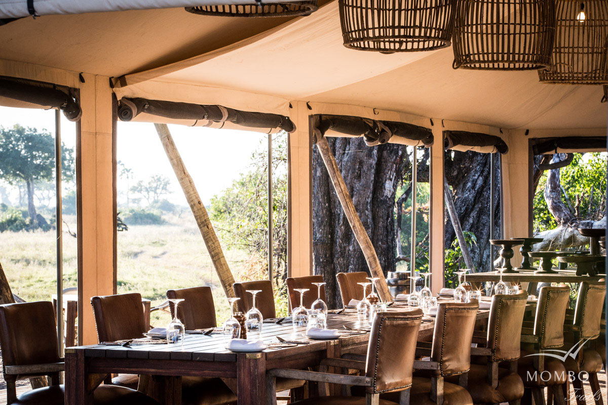 Mombo Camp Moremi Botswana 6