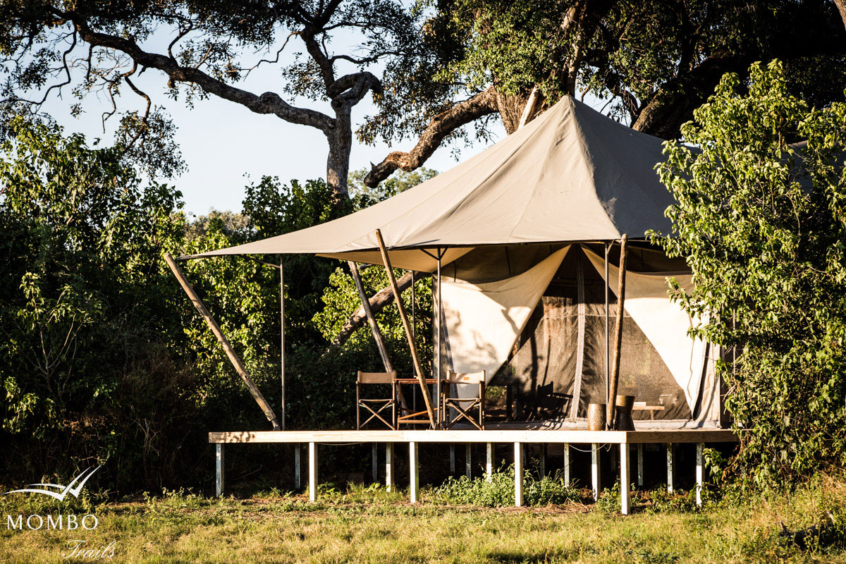 Mombo Camp Moremi Botswana 12