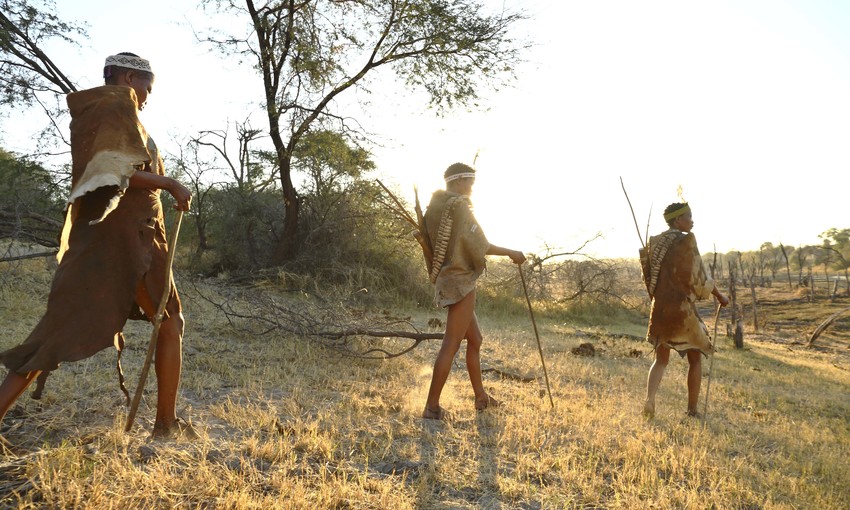 Meno A Kwena Makgadikgadi Botswana 8