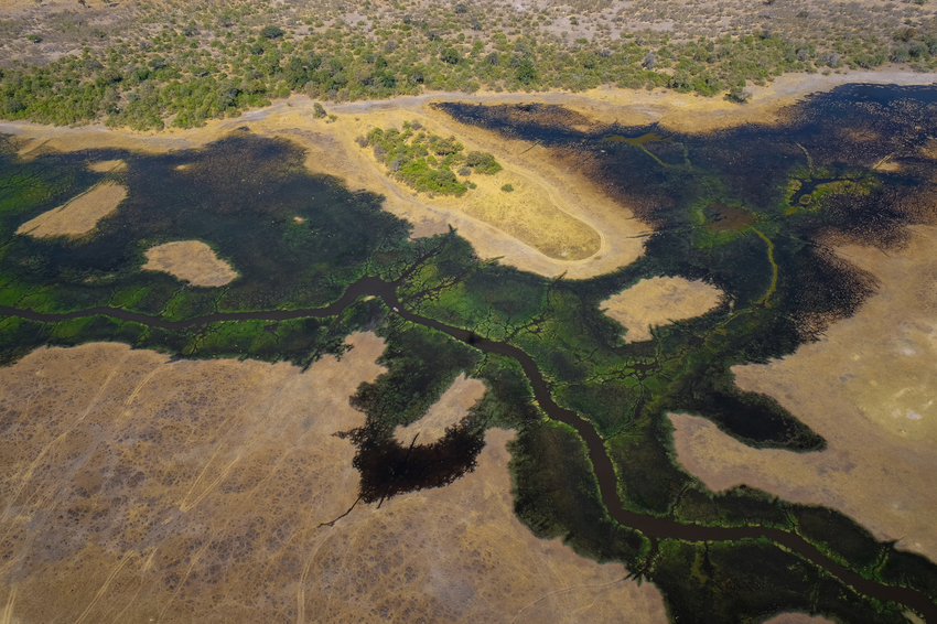 Machaba Camp Moremi Botswana 50