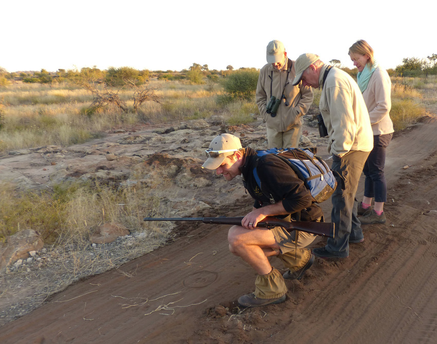 Tuli Safari Lodge Tuli Botswana 16