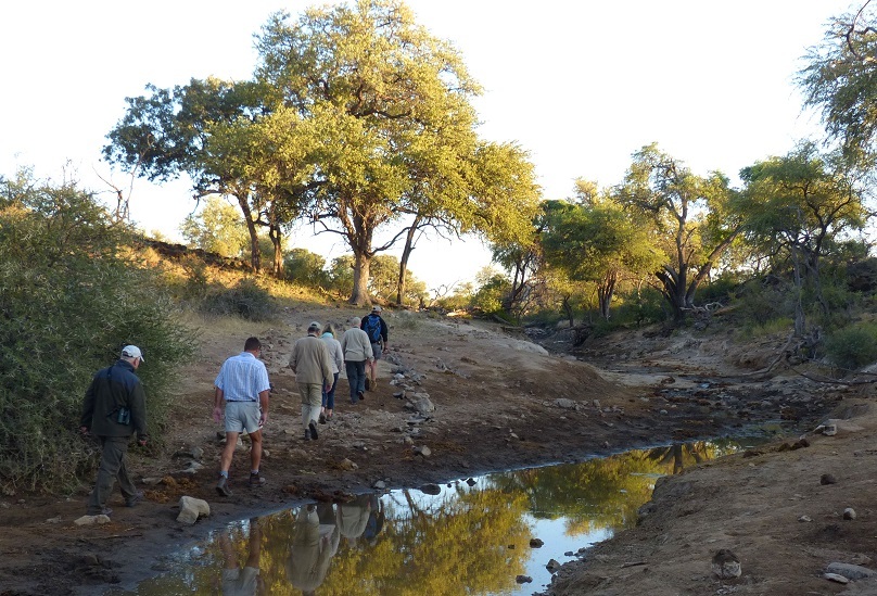 Tuli Safari Lodge Tuli Botswana 17