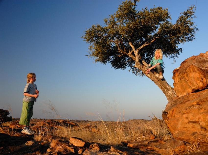 Tuli Safari Lodge Tuli Botswana 19