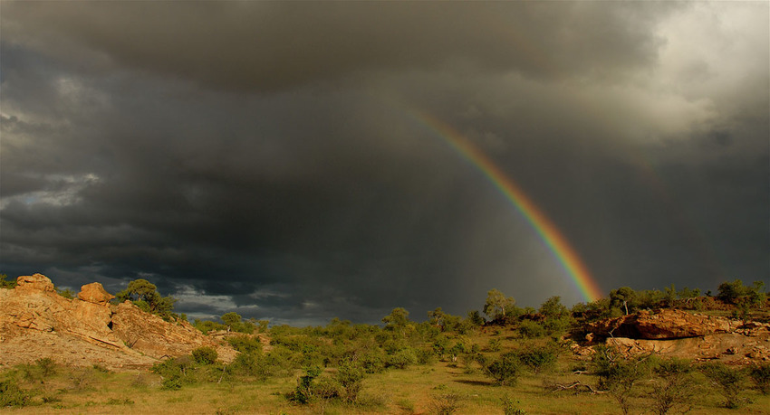 Tuli Safari Lodge Tuli Botswana 24