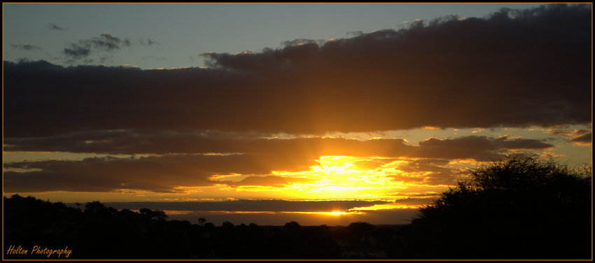Tuli Safari Lodge Tuli Botswana 34