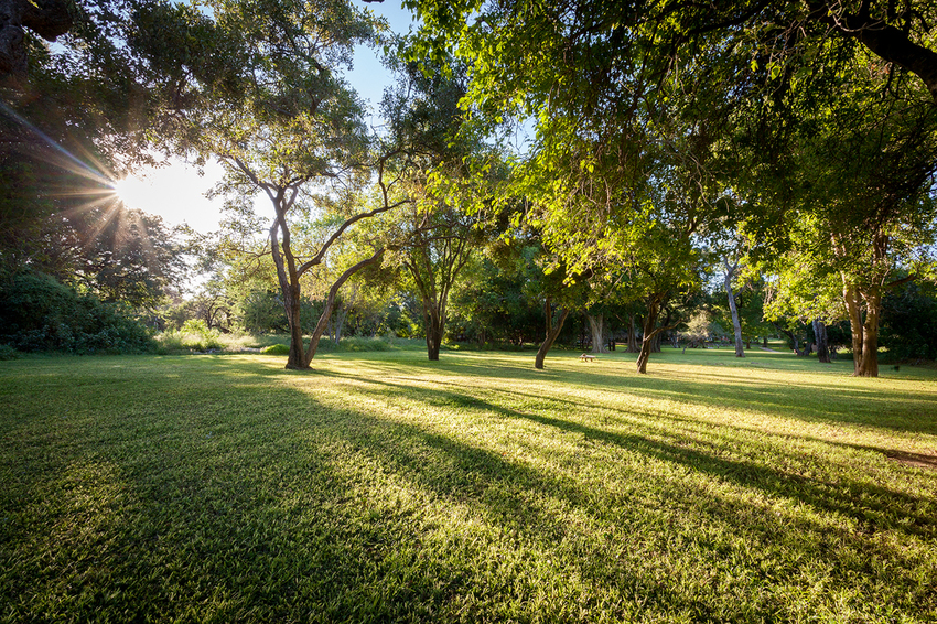 Tuli Safari Lodge Tuli Botswana 6