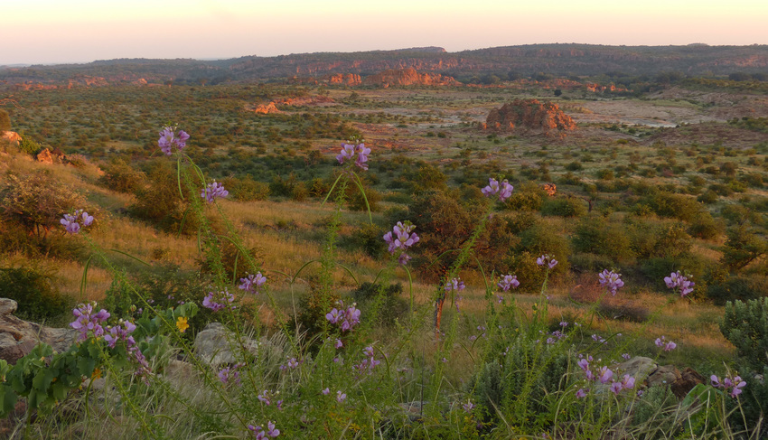 Tuli Safari Lodge Tuli Botswana 9