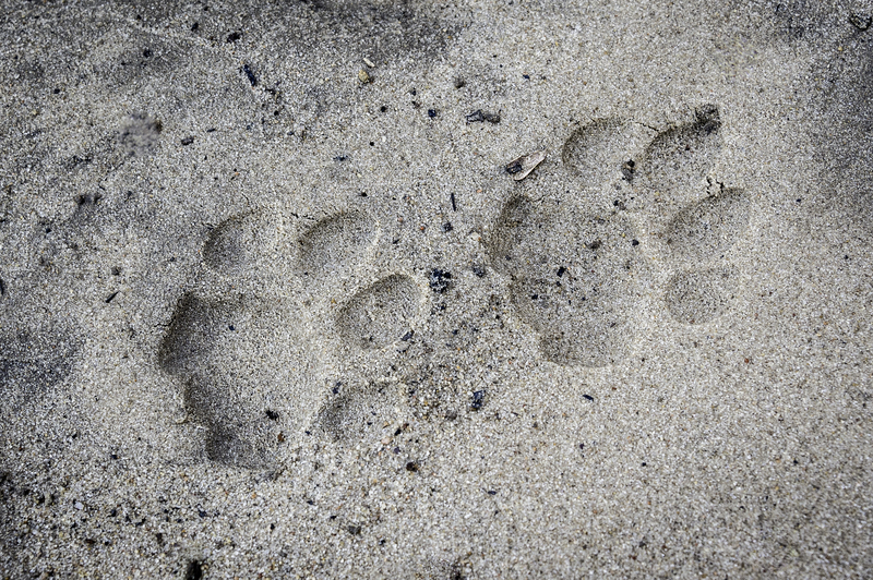 Xigera The Okavango Delta Botswana 15