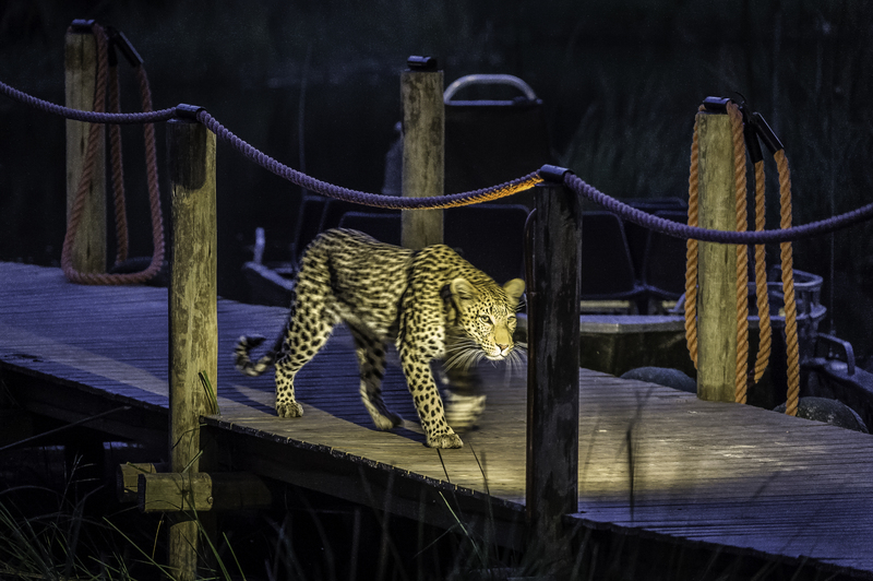 Xigera The Okavango Delta Botswana 16